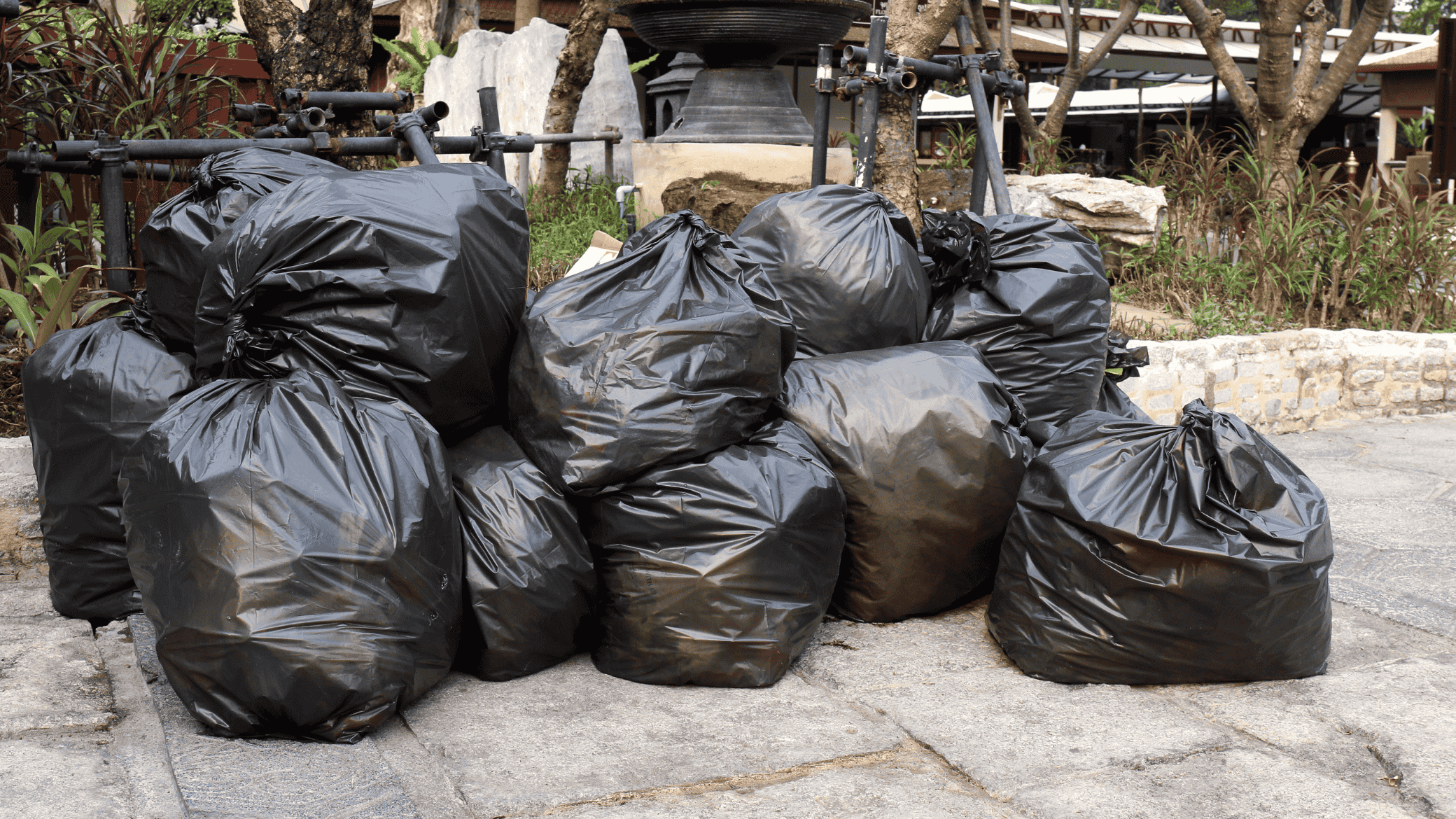 Cleanouts Services